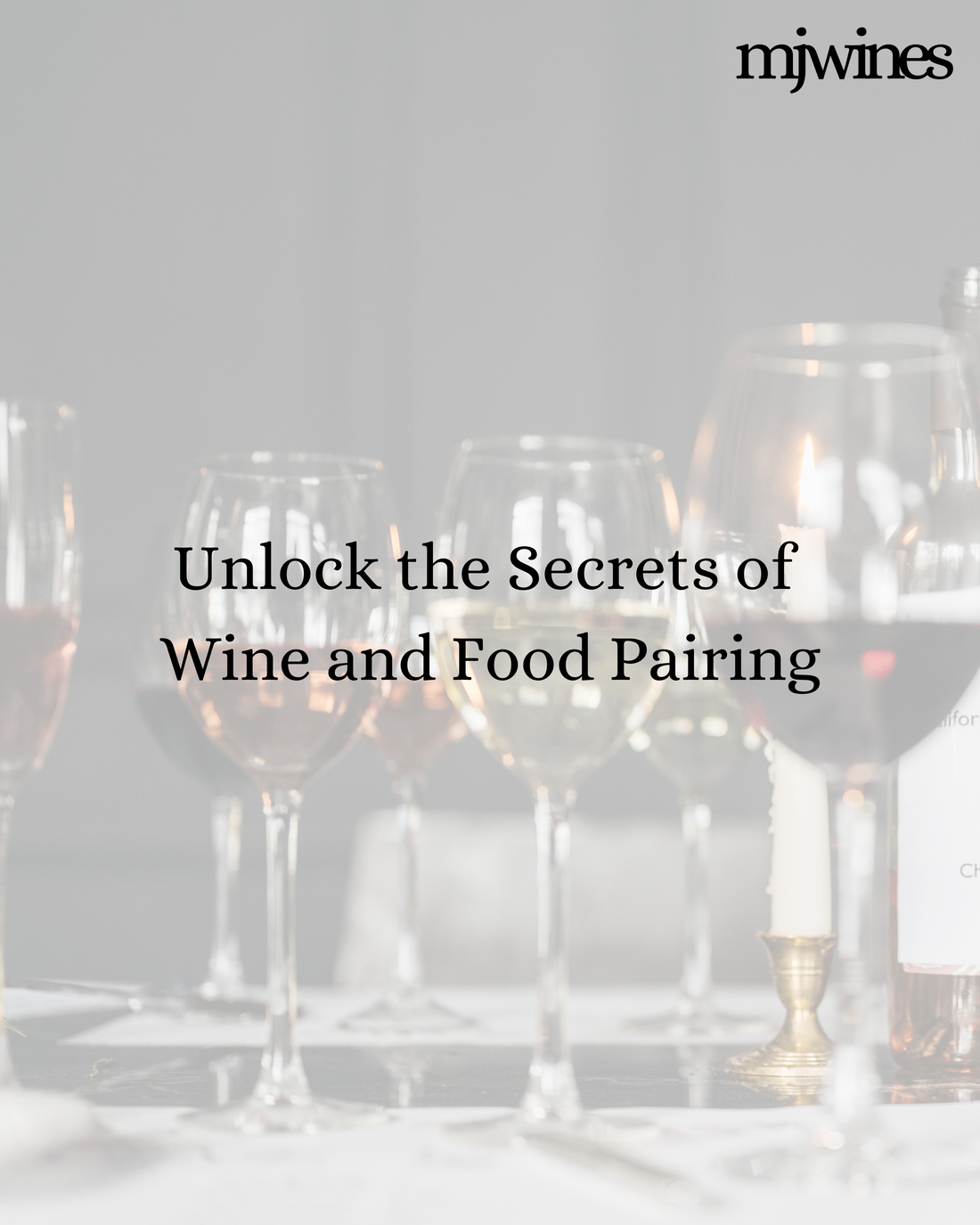 Elevate Your Dining Experience: The Basics of Wine and Food Pairing