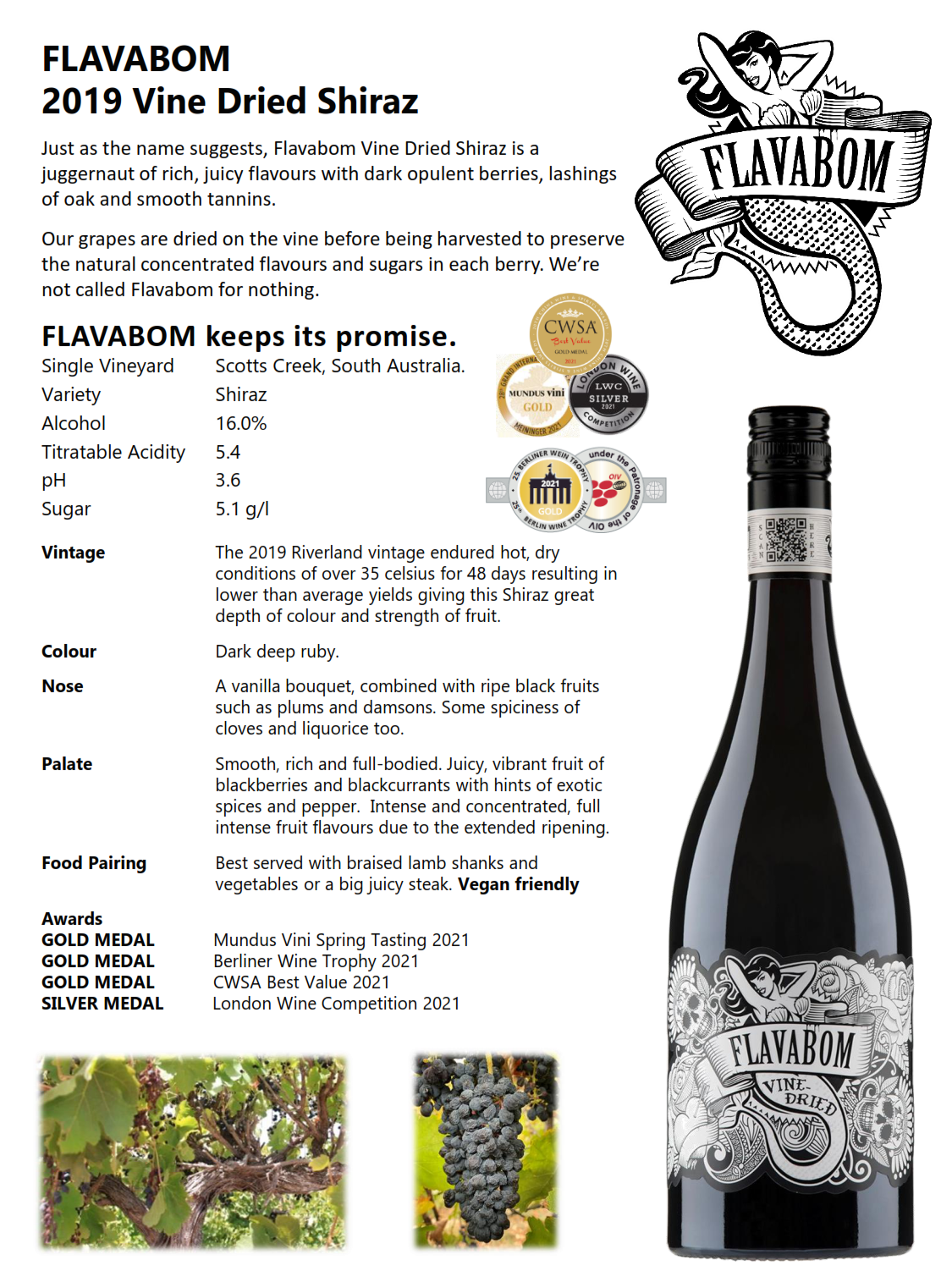 Flavabom Vine Dried Shiraz Red Wine 750ml (Australia)